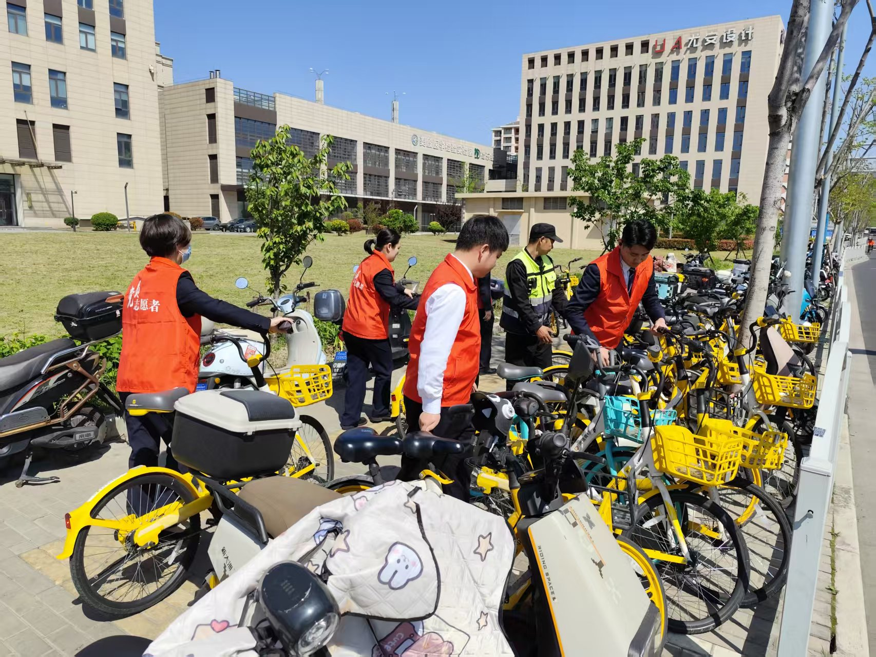 豐田圖片2 豐田圖片2